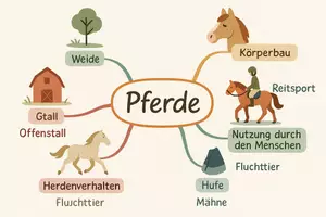 Vorschau - Arbeitsblätter - Lernposter + Arbeitsblatt "Pferde" + Onlineübung & MP3 + Mindmap + Infografik - Seite 3