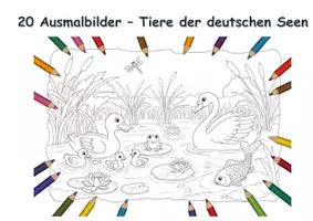 Vorschau - Mal- und Bastelvorlagen - 20 Ausmalbilder – Tiere der deutschen Seen - Deckblatt
