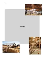 Vorschau - Arbeitsblätter - Erdkunde Bauernhof binnendifferenziert A2 B1 DAZ DAF IVK - Seite 1