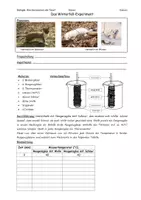 Vorschau - Arbeitsblätter - Winterfellexperiment Hermelin Biologie Klasse 5 - Seite 1