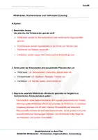 Vorschau - Arbeitsblätter - Wildkräuter - Arbeitsblätter und Lösungen PDF - Seite 1