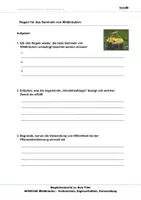 Vorschau - Arbeitsblätter - Wildkräuter - Arbeitsblätter und Lösungen PDF - Seite 2