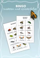 Vorschau - Spiele - Bingo - Insekten, Bestäuber und Gliederfüßer - Deckblatt