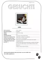 Vorschau - Arbeitsblätter - Feedbackbogen Beschreibungen - Deckblatt