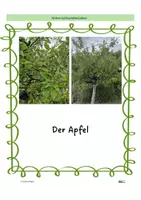 Vorschau - Arbeitsblätter - Der Apfel - knackig und gesund - Seite 1