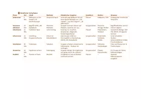 Vorschau - Unterrichtsreihen - ADHS, ADS, LRS & Dyskalkulie, Entwicklungsbesonderheiten verstehen und pädagogisch begleiten, 2-4 UE, Lernfeld 6: „Kinder, Jugendliche und junge Erwachsene bei der Bewältigung besonderer Lebenssituationen unterstützen“ - Seite 3