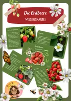 Vorschau - Bildkarten - Die Erdbeere - eine Wissenskartei - Deckblatt