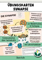 Vorschau - Arbeitsblätter - Übungskarten Synapse Neurobiologie Nervenzelle - Deckblatt