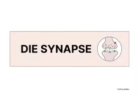 Vorschau - Arbeitsblätter - Übungskarten Synapse Neurobiologie Nervenzelle - Seite 1