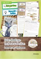 Vorschau - Arbeitsblätter - Die Lebensweise der Katze - Stationsarbeit - Deckblatt