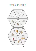 Vorschau - Stationenlernen - In the Sea: Star Puzzle (Englisch) - Seite 2