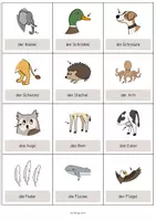 Vorschau - Mal- und Bastelvorlagen - Animal Body Parts: Vocabulary Cards (Englisch) - Seite 2