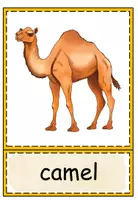 Vorschau - Bildkarten - Flashcards Desert Animals - Seite 1