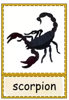 Vorschau - Bildkarten - Flashcards Desert Animals - Seite 2
