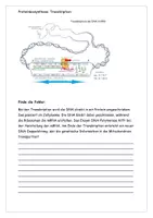 Vorschau - Arbeitsblätter - Materialpaket Translation und Transkription Kl 9-11 - Seite 3