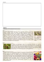 Vorschau - Arbeitsblätter - Trachten zur Konkurrenzvermeidung - Ökologie (Sek II) - Seite 2
