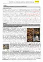 Vorschau - Arbeitsblätter - Trachten zur Konkurrenzvermeidung - Ökologie (Sek II) - Seite 3