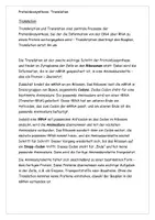 Vorschau - Arbeitsblätter - Die Translation Text Grafik Aufgaben Lösung Klasse 9-11 - Seite 1