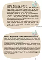 Vorschau - Arbeitsblätter - Ernährungspyramide_Mindmap/differenzierte Informationstexte - Seite 2
