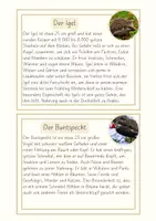 Vorschau - Aufgabenkarten - Waldtiere Infokarten – 16 kindgerechte Steckbriefe für Sachunterricht & Lesetraining - Seite 2