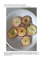 Vorschau - Experimente - Experiment – Phenoloxidasen in Äpfeln - Seite 3