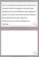 Vorschau - Fördermaterial/Inklusion - DaF / DaZ Englisch: Schwarze Witwe Spezial: Fehlerteufel Lesekarten Dehnungs-h - Seite 3