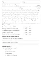 Vorschau - Arbeitsblätter - Leseverstehen Sommer Lesetexte mit Fragen - Seite 3