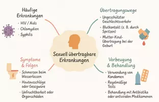 Vorschau - Arbeitsblätter - Lernposter + Arbeitsblatt "Sexuell übertragbare Erkrankungen" + interaktive Lösung & MP3 + Mindmap + Infografik - Seite 3