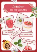 Vorschau - Bildkarten - Die Erdbeere Tafelmaterial - Bild- und Wortkarten - Deckblatt