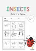 Vorschau - Arbeitsblätter - Insects: Read and Color (Englisch) - Deckblatt