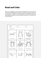 Vorschau - Arbeitsblätter - Insects: Read and Color (Englisch) - Seite 1