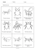 Vorschau - Arbeitsblätter - Insects: Read and Color (Englisch) - Seite 2