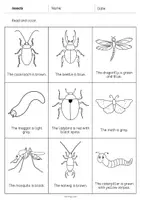 Vorschau - Arbeitsblätter - Insects: Read and Color (Englisch) - Seite 3