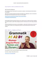 Vorschau - Unterrichtsreihen - Lernen mit Uwe: Grammatik A1 – B1 034 Nomen - Singular und Plural - Deckblatt