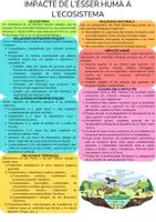 Vista previa - Refuerzo / NEE / Materiales de apoyo - Resum IMPACTE DE L'ÉSSER HUMÀ L'ECOSISTEMA - página 1