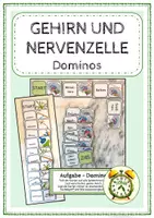 Vorschau - Spiele - Gehirn und Nervenzelle - Dominos - Deckblatt