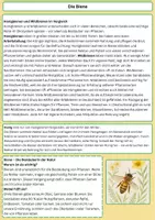 Vorschau - Arbeitsblätter - Kleine Helden der Natur“ (Warum Biene, Käfer & Co - Seite 2