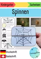 Vorschau - Mal- und Bastelvorlagen - Lebenszyklus Spinne (Fortpflanzung) - Deckblatt