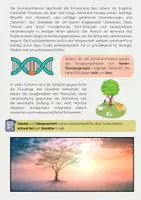 Vorschau - Arbeitsblätter - Schöpfung & Evolution Bundle: Schöpfungsgeschichten, Darwin, Selektion & Humanevolution - Seite 3