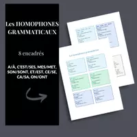 Aperçu - Affichage - Les HOMOPHONES grammaticaux en français - Page de couverture