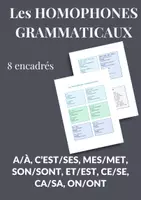 Aperçu - Affichage - Les HOMOPHONES grammaticaux en français - Page 3
