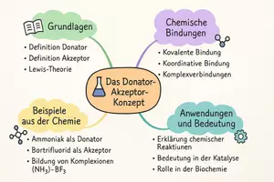 Vorschau - Arbeitsblätter - Arbeitsblatt "Das Donator-Akzeptor-Konzept" + interaktive Lösung & MP3 + Mindmap + Infografik - Seite 2