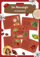Vorschau - Bildkarten - Der Marienkäfer - Wissenskartei - Deckblatt