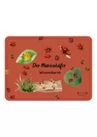 Vorschau - Bildkarten - Der Marienkäfer - Wissenskartei - Seite 1