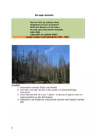 Vorschau - Stundenentwürfe - Der deutsche Wald ist krank - Seite 2