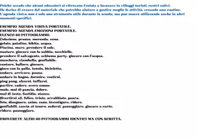 anteprima - Materiale di supporto/inclusione - agende visive portatili e 120 pittogrammi per campi estivi - Pagina 1