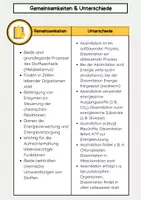 Vorschau - Arbeitsblätter - Assimilation und Dissimilation – Unterschiede, Gemeinsamkeiten, Energiegewinnung & Stoffwechselprozesse - Seite 3
