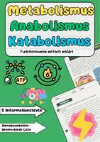 Vorschau - Arbeitsblätter - Metabolismus, Anabolismus, Katabolismus einfach erklärt - Deckblatt