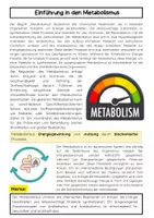Vorschau - Arbeitsblätter - Metabolismus, Anabolismus, Katabolismus einfach erklärt - Seite 1