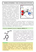 Vorschau - Arbeitsblätter - Metabolismus, Anabolismus, Katabolismus einfach erklärt - Seite 2